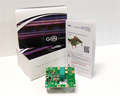 GaN Systems, GaN 시스템의 새로운 하프 브릿지 평가 보드 온라인 및 각 지역 공식 대리점을 통한 판매 중
